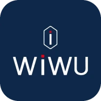 Logo de WiWU B2B