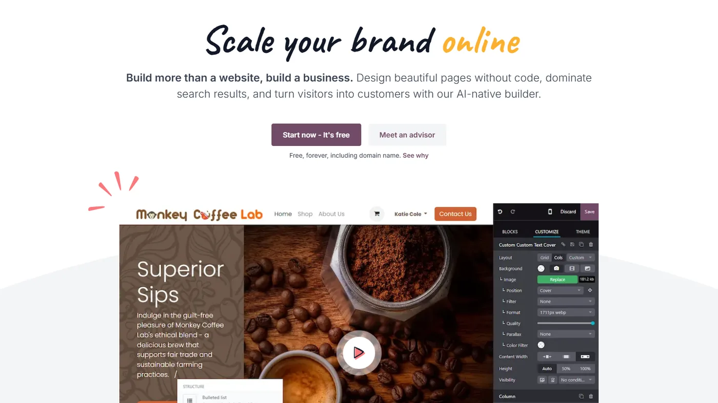 Odoo Website screenshot